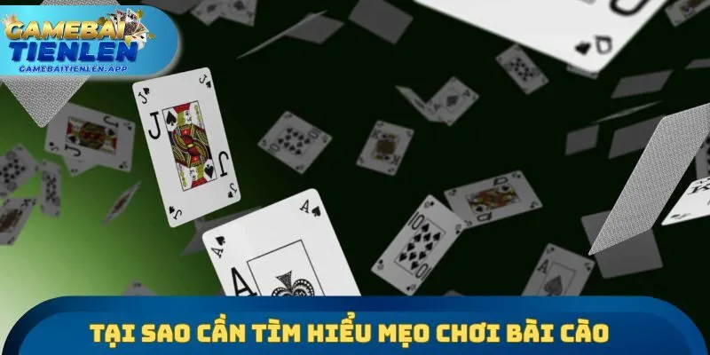 Tại sao cần tìm hiểu mẹo chơi bài cào